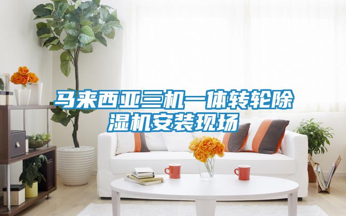 馬來(lái)西亞三機(jī)一體轉(zhuǎn)輪除濕機(jī)安裝現(xiàn)場(chǎng)