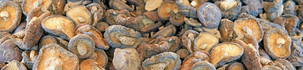 1513232860786888.jpg 種子烘干.jpg