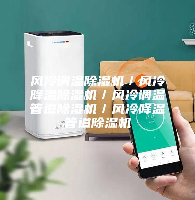 風冷調溫除濕機/風冷降溫除濕機/風冷調溫管道除濕機/風冷降溫管道除濕機