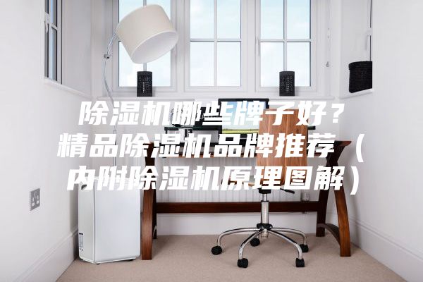 除濕機哪些牌子好?精品除濕機品牌推薦(內附除濕機原理圖解)