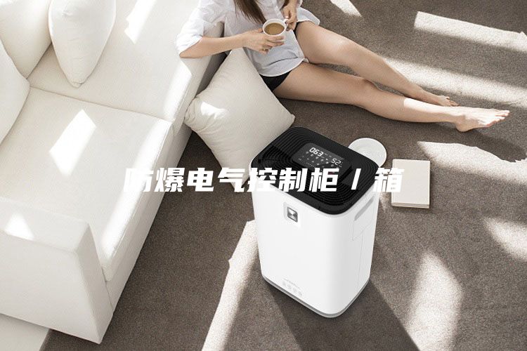 防爆電氣控制柜/箱