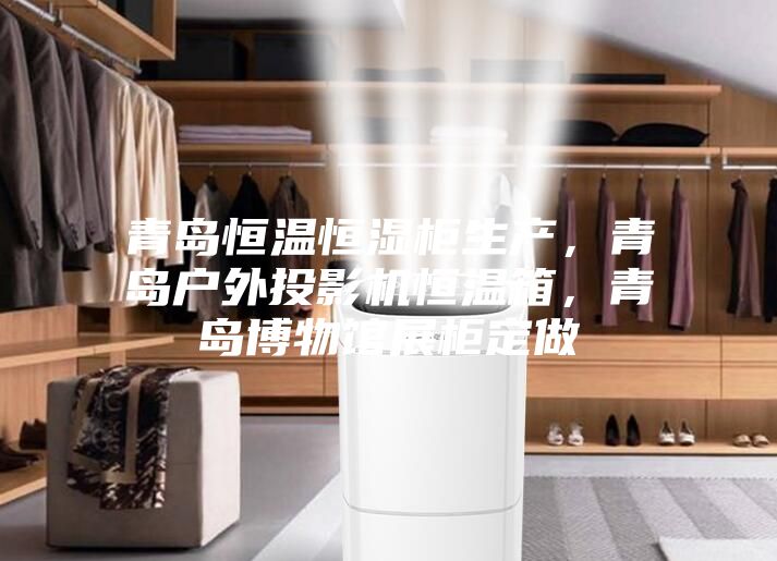 青島恒溫恒濕柜生產，青島戶外投影機恒溫箱，青島博物館展柜定做