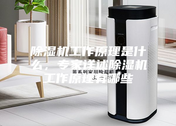 除濕機工作原理是什么,專家詳述除濕機工作原理有哪些