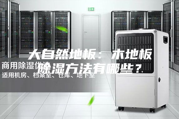 大自然地板:木地板除濕方法有哪些?