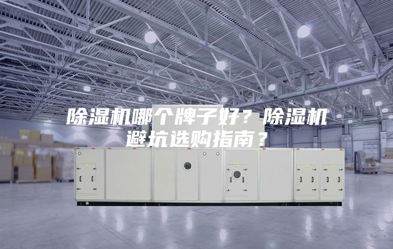 除濕機哪個牌子好?除濕機避坑選購指南?