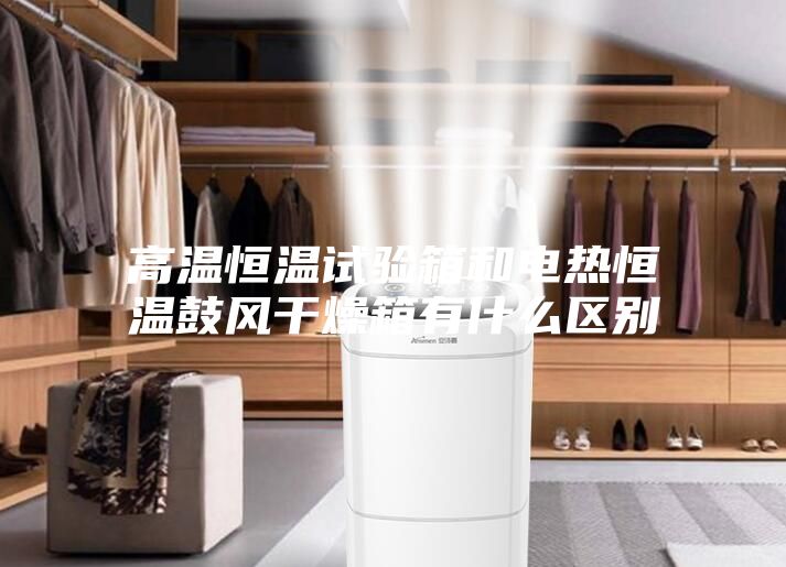 高溫恒溫試驗箱和電熱恒溫鼓風(fēng)干燥箱有什么區(qū)別