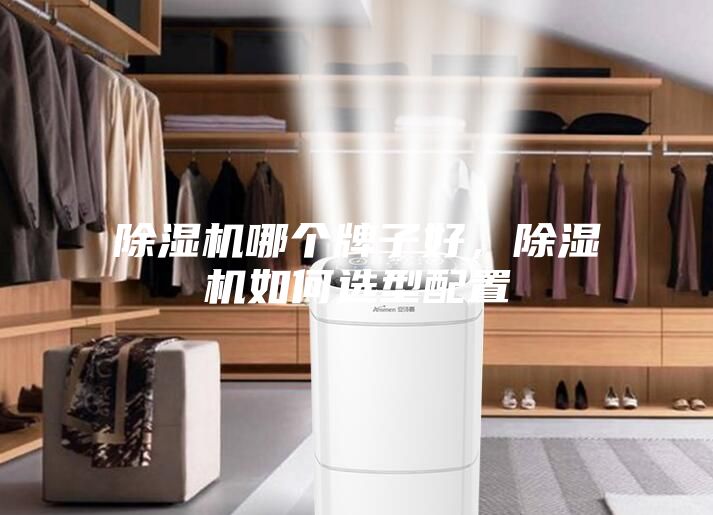 除濕機哪個牌子好,除濕機如何選型配置