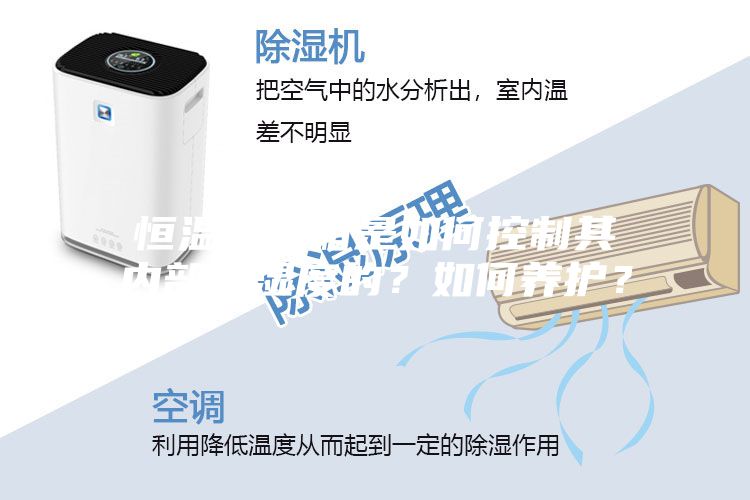 恒溫恒濕箱是如何控制其內(nèi)部溫濕度的?如何養(yǎng)護?