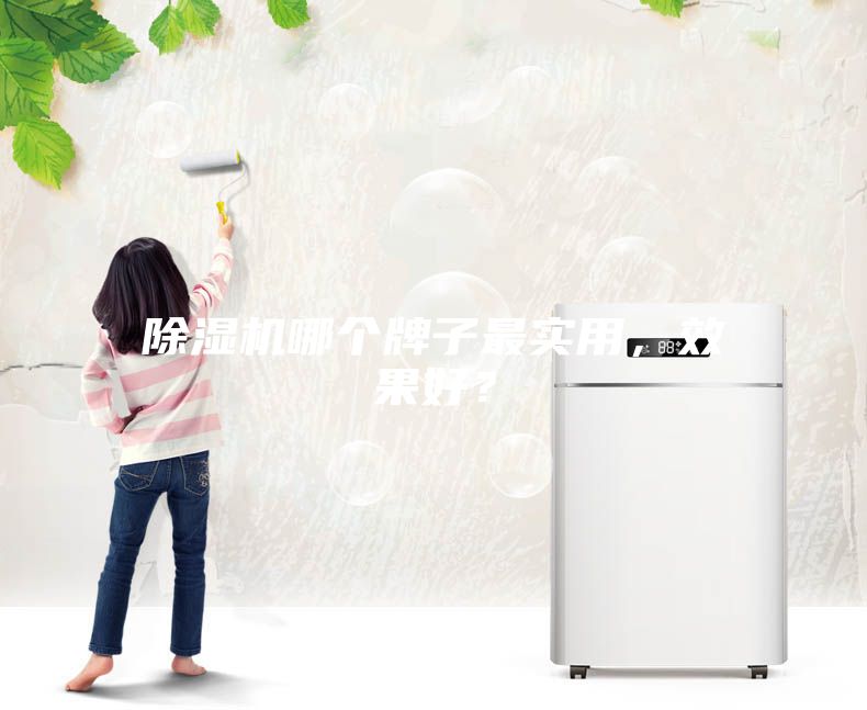 除濕機(jī)哪個牌子最實(shí)用,效果好?