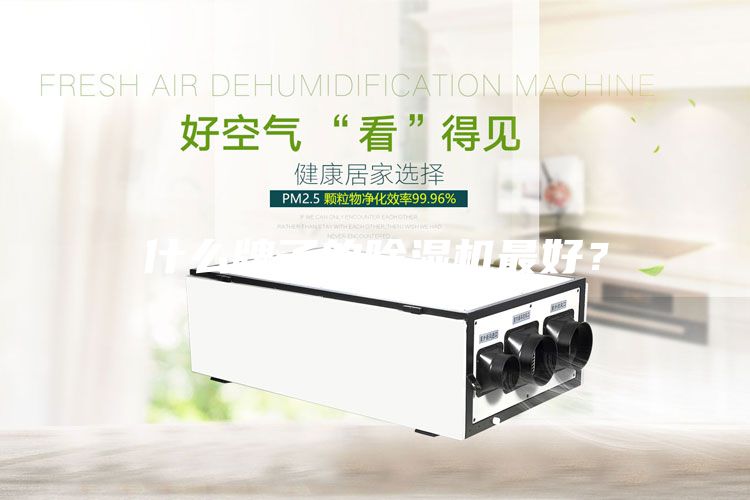 什么牌子的除濕機最好？