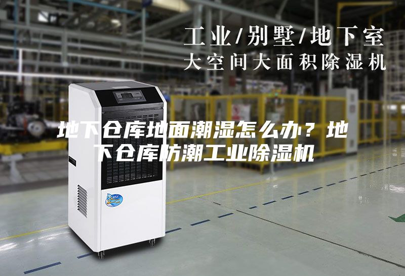 地下倉庫地面潮濕怎么辦?地下倉庫防潮工業(yè)除濕機