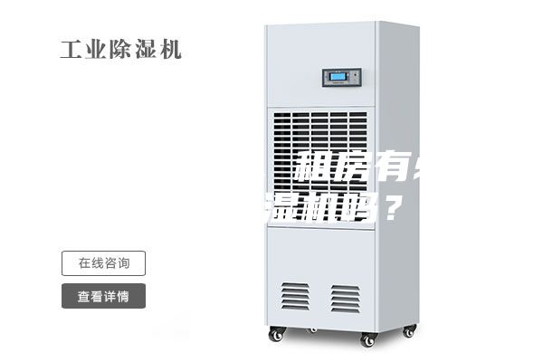 初到南方,租房有必要買除濕機嗎?