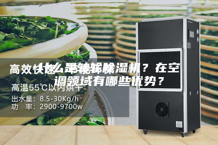 什么是轉(zhuǎn)輪除濕機(jī)?在空調(diào)領(lǐng)域有哪些優(yōu)勢?