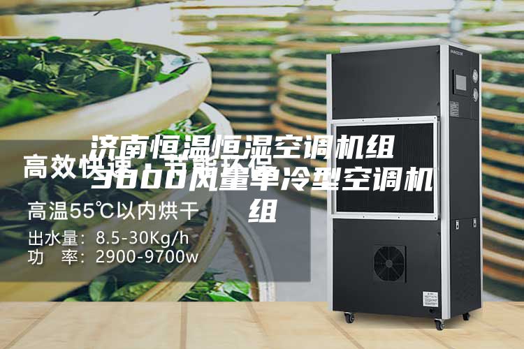 濟南恒溫恒濕空調機組 3000風量單冷型空調機組
