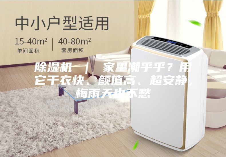 除濕機 ｜ 家里潮乎乎？用它干衣快、顏值高、超安靜，梅雨天也不愁