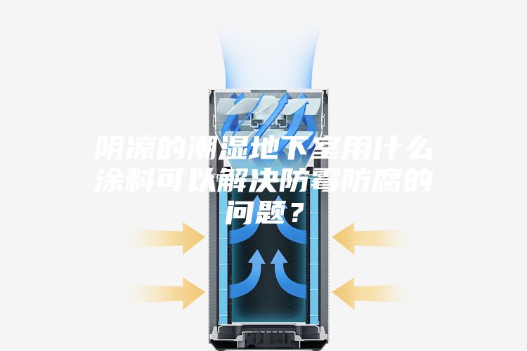 陰涼的潮濕地下室用什么涂料可以解決防霉防腐的問題？