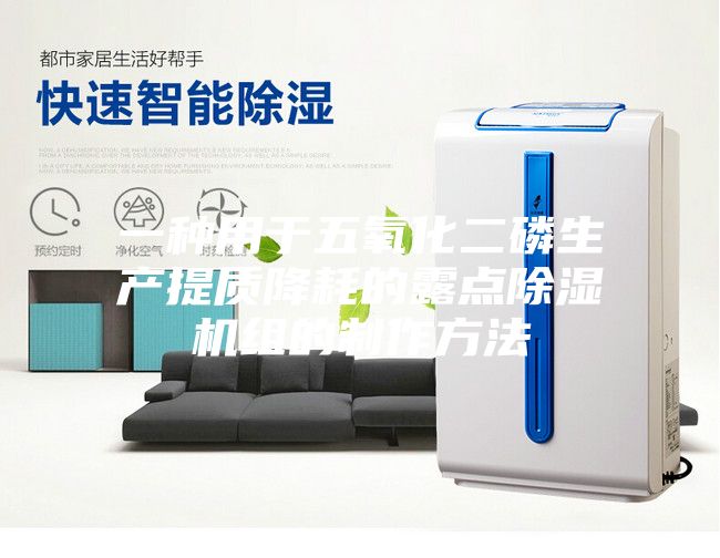 一種用于五氧化二磷生產(chǎn)提質降耗的露點除濕機組的制作方法