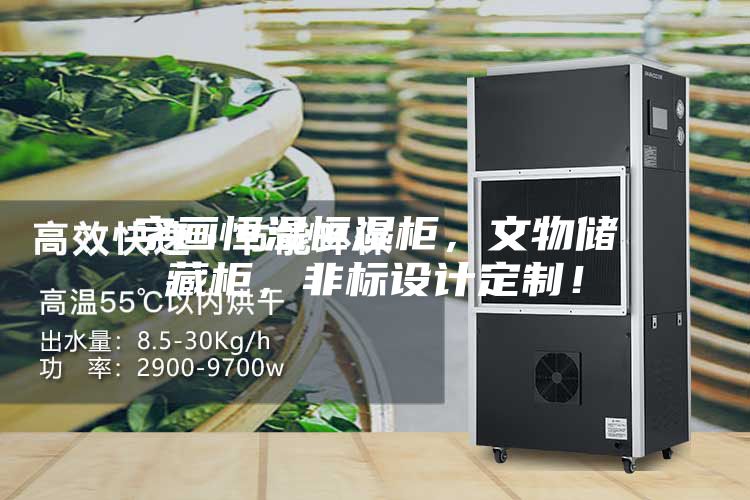 字畫恒溫恒濕柜,文物儲藏柜,非標設計定制!