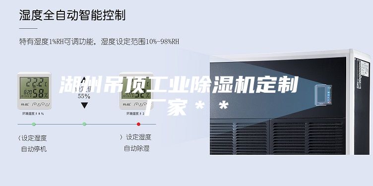 湖州吊頂工業(yè)除濕機定制 廠家**