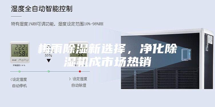 梅雨除濕新選擇,凈化除濕機(jī)成市場(chǎng)熱銷(xiāo)