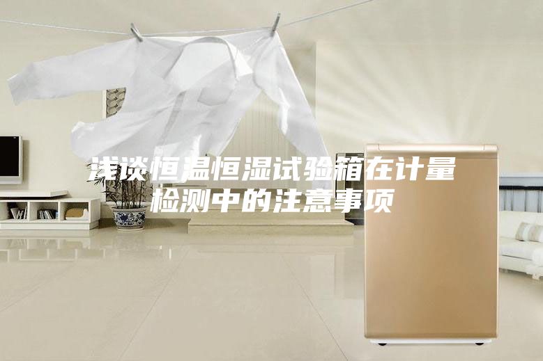 淺談恒溫恒濕試驗(yàn)箱在計(jì)量檢測(cè)中的注意事項(xiàng)