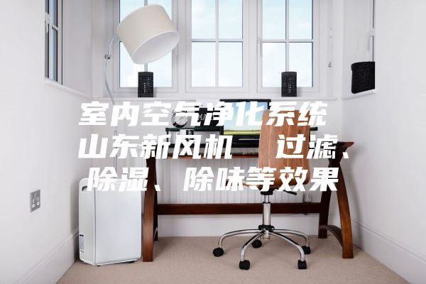 室內(nèi)空氣凈化系統(tǒng) 山東新風(fēng)機(jī) 過(guò)濾、除濕、除味等效果