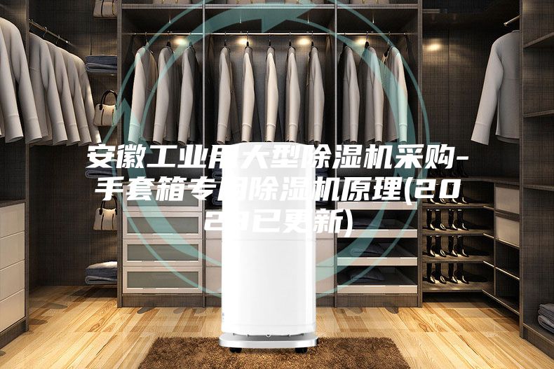 安徽工業(yè)用大型除濕機(jī)采購-手套箱專用除濕機(jī)原理(2023已更新)