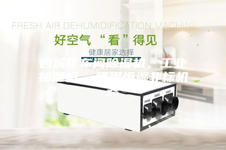 西城區車間除濕機,工業抽濕機 恒溫恒濕非標機器