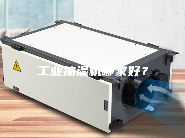 工業(yè)抽濕機哪家好?