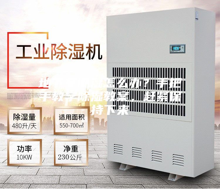 地下室潮濕怎么辦?手把手教學(xué)除濕教案,趕緊保持下來