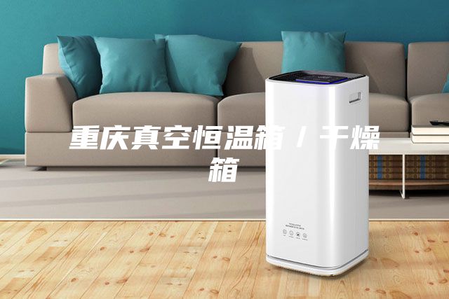 重慶真空恒溫箱/干燥箱