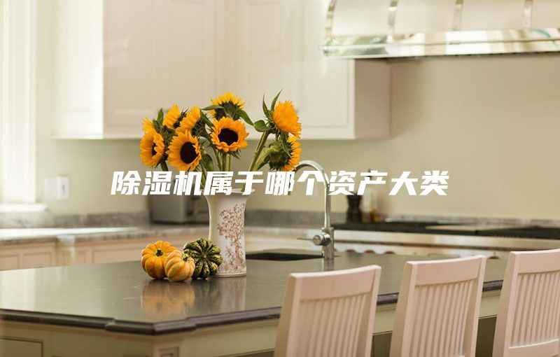 除濕機(jī)屬于哪個(gè)資產(chǎn)大類
