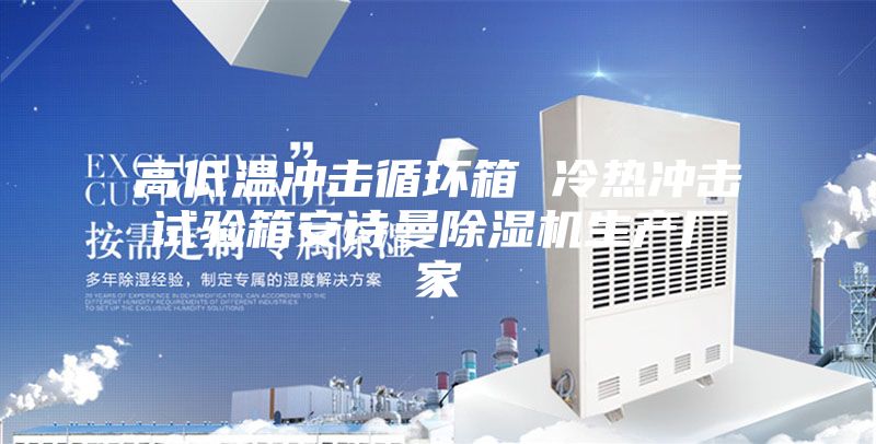 高低溫沖擊循環(huán)箱 冷熱沖擊試驗箱安詩曼除濕機生產(chǎn)廠家