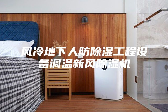 風冷地下人防除濕工程設備調溫新風除濕機