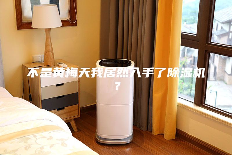 不是黃梅天我居然入手了除濕機(jī)?
