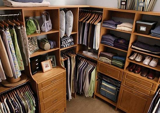 潮濕悶熱謹(jǐn),當(dāng)心蛇出沒