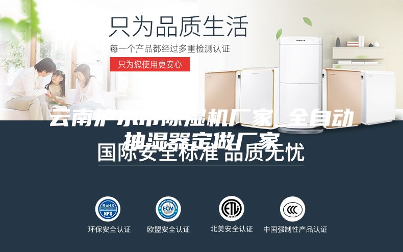云南瀘水市除濕機(jī)廠家_全自動(dòng)抽濕器定做廠家
