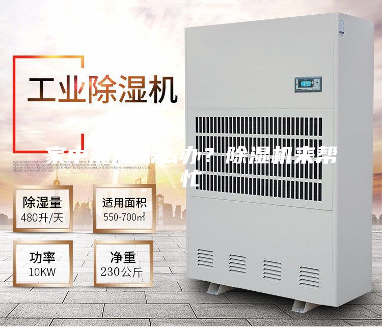 家中潮濕怎么辦?除濕機(jī)來幫忙
