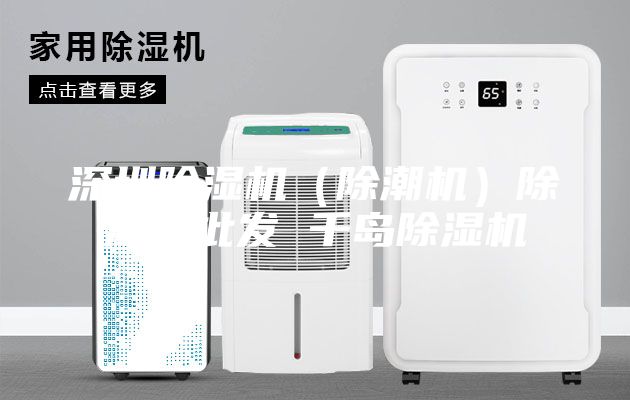 深圳除濕機（除潮機）除濕機批發(fā) 千島除濕機