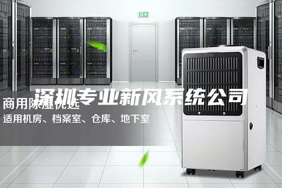 深圳專業(yè)新風系統(tǒng)公司