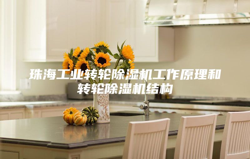 珠海工業(yè)轉(zhuǎn)輪除濕機(jī)工作原理和轉(zhuǎn)輪除濕機(jī)結(jié)構(gòu)