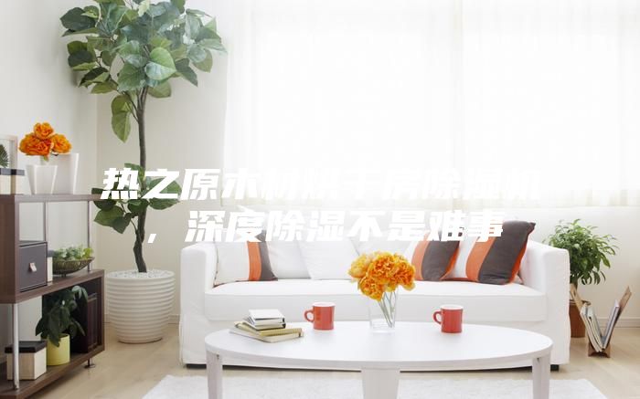 熱之原木材烘干房除濕機，深度除濕不是難事