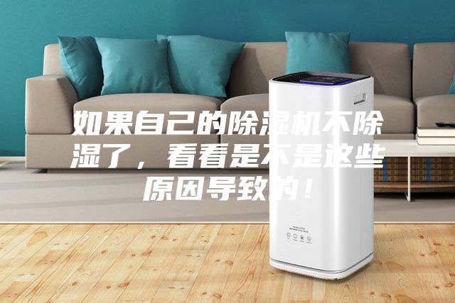 如果自己的除濕機不除濕了,看看是不是這些原因導致的!