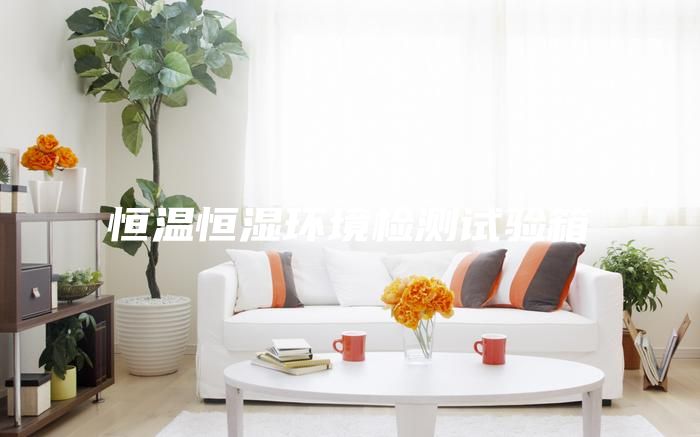 恒溫恒濕環(huán)境檢測(cè)試驗(yàn)箱