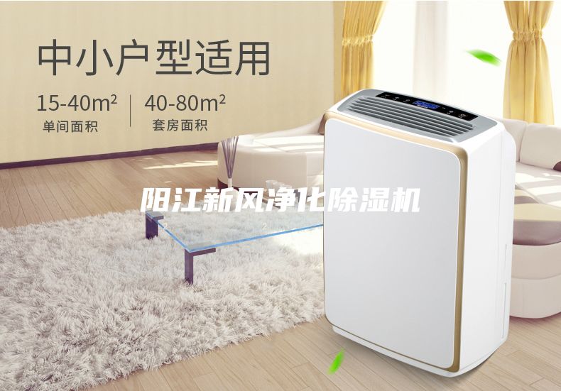 陽(yáng)江新風(fēng)凈化除濕機(jī)