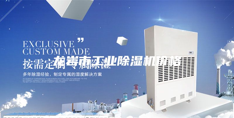 龍巖市工業(yè)除濕機(jī)價格