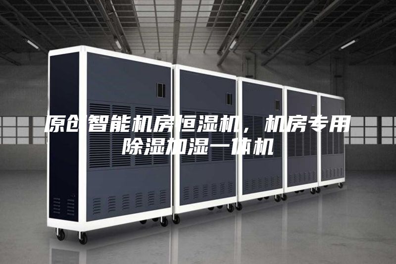 原創(chuàng)智能機房恒濕機，機房專用除濕加濕一體機
