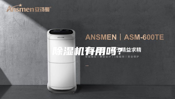 除濕機(jī)有用嗎?