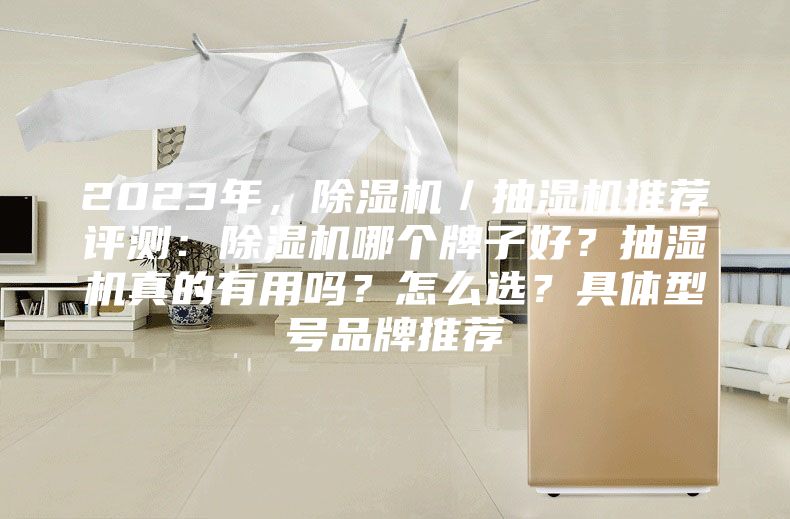 2023年，除濕機／抽濕機推薦評測：除濕機哪個牌子好？抽濕機真的有用嗎？怎么選？具體型號品牌推薦
