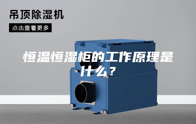 恒溫恒濕柜的工作原理是什么？